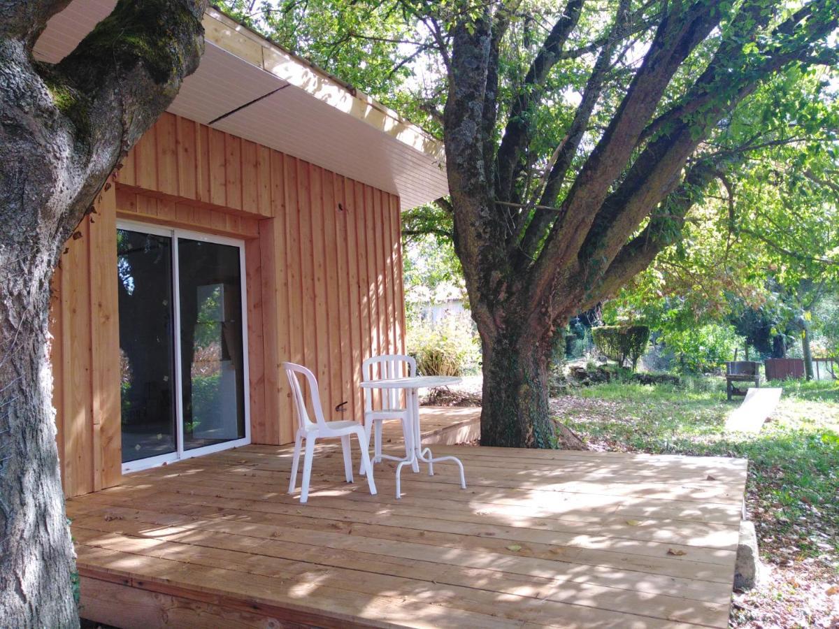 Le Chalet Du Bord De L'Eau Sainte-Terre Eksteriør billede